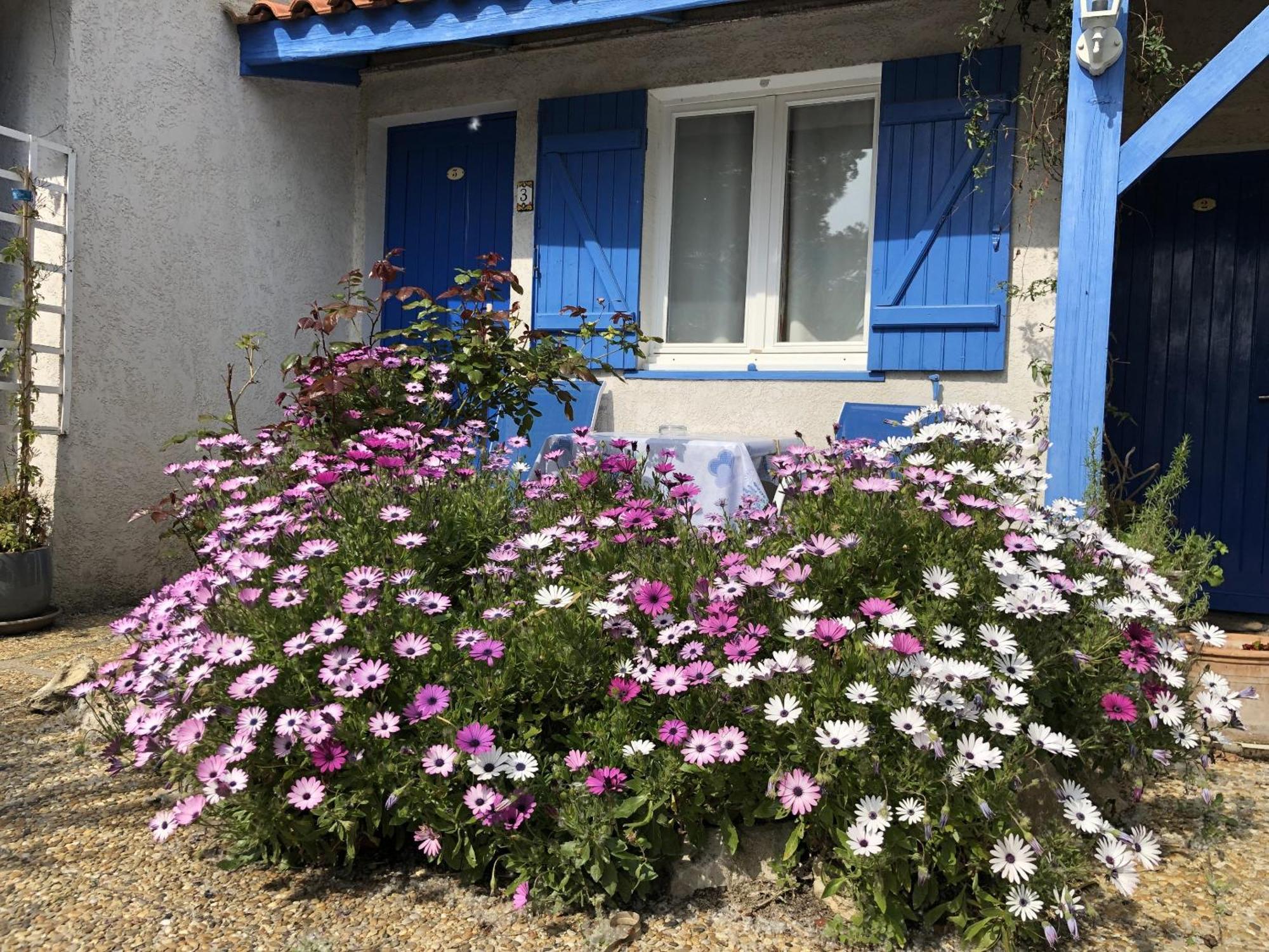 Hotel Des 4 Vents "Esprit Camargue" Aigues-Mortes Eksteriør bilde
